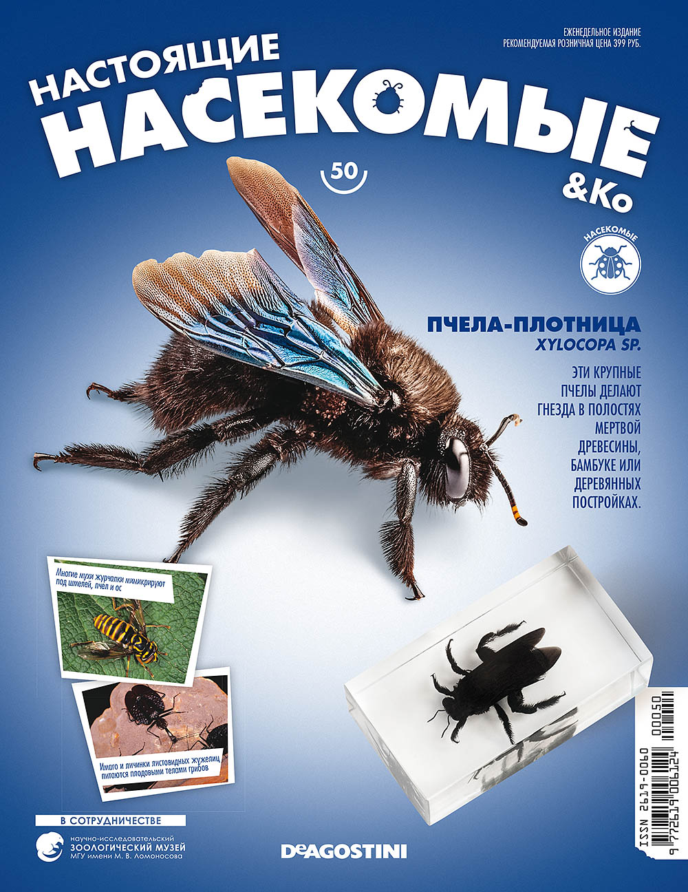 Коллекции деагостини жуки. Журнал насекомыми. Усач батоцера. Деагостини жуки. Коллекция насекомых деагостини.